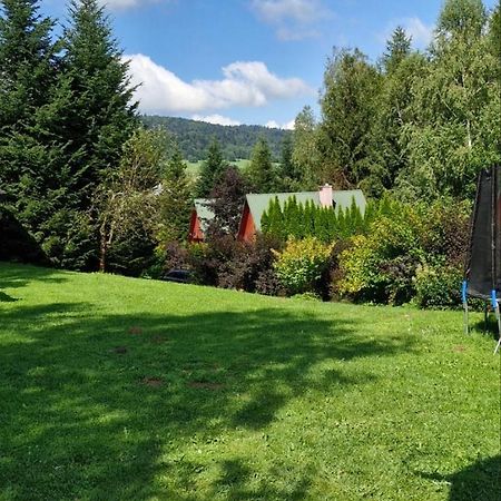 Domki Pod Kiczera W Baligrodzie, Bieszczady Exterior foto